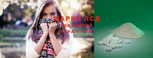 PSILOCYBIN Алзамай